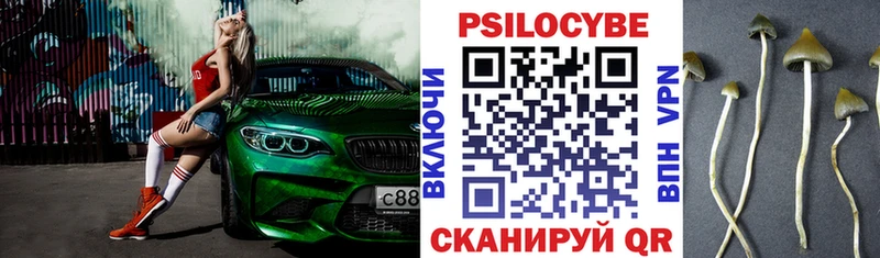 Псилоцибиновые грибы MAGIC MUSHROOMS Тайшет