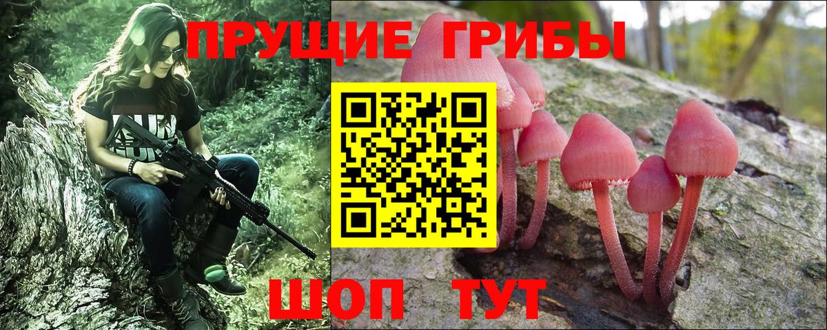 Псилоцибиновые грибы Psilocybine cubensis  Вход с VPN  Тайшет 