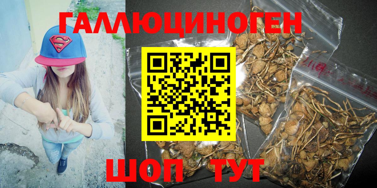 Псилоцибиновые грибы прущие грибы Тайшет